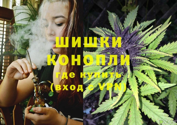 ПСИЛОЦИБИНОВЫЕ ГРИБЫ Бородино