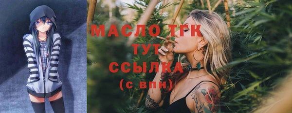 гидра Верея