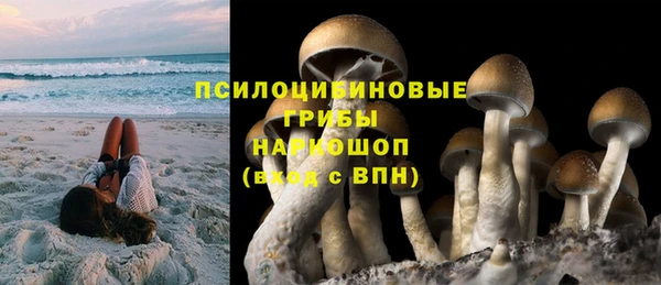 соль курить ск Верхний Тагил